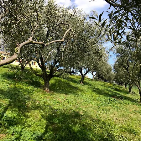 Apartman Where Ancient Charm Meets Poolside Bliss Senigallia