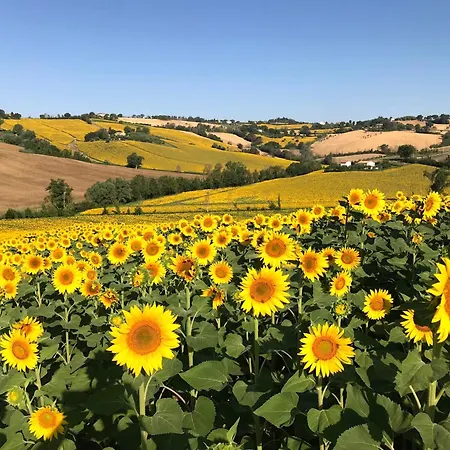 Апартаменты Where Ancient Charm Meets Poolside Bliss Сенигаллия