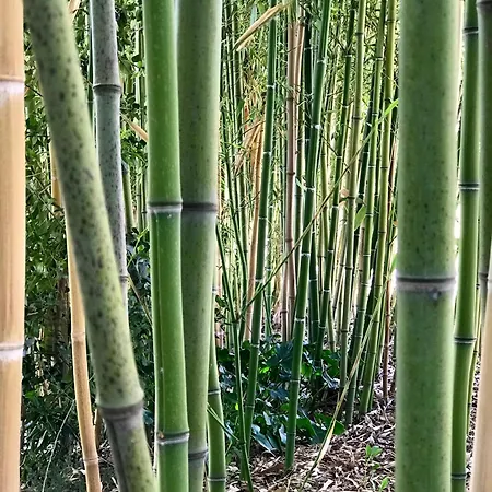 Апартаменты Where Ancient Charm Meets Poolside Bliss