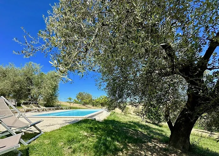 Where Ancient Charm Meets Poolside Bliss Apartment Senigallia