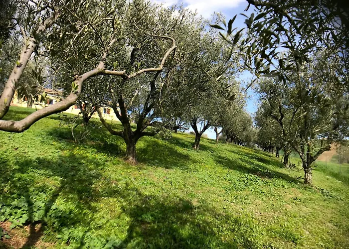 Appartement Where Ancient Charm Meets Poolside Bliss Senigallia
