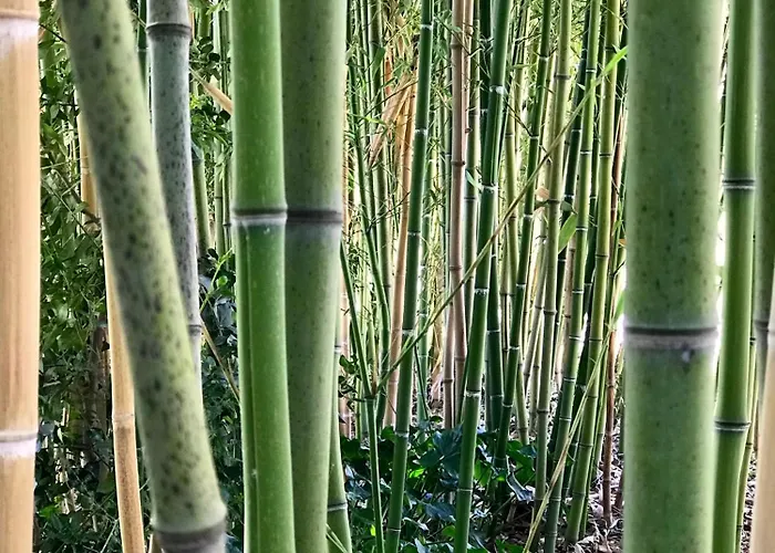 Appartement Where Ancient Charm Meets Poolside Bliss